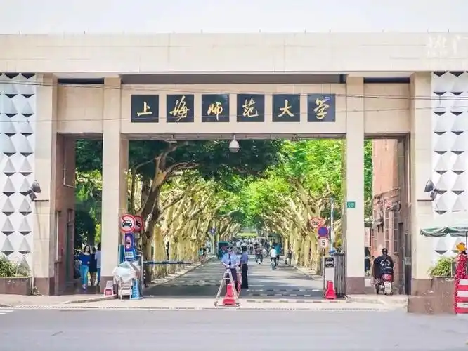 他们都是师范大学中文系的,女