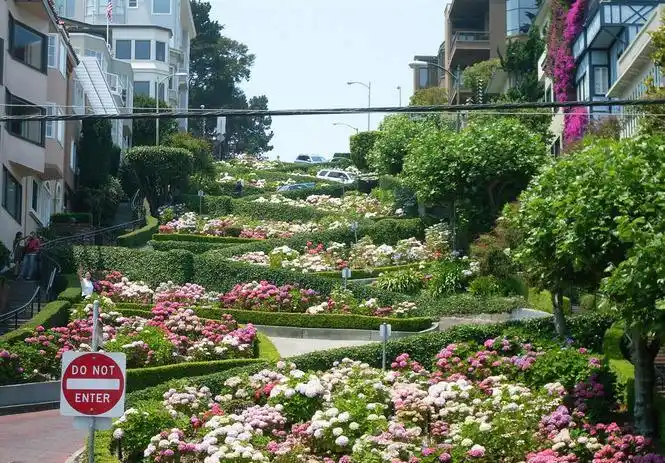 奇丽的九曲花街