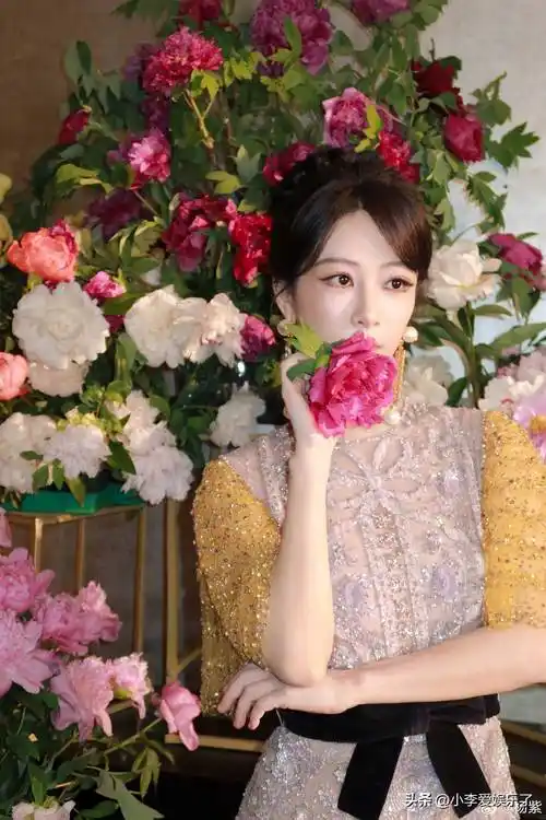 明星五一活动照,白鹿曾舜晞下海玩,杨紫赏牡丹张新成李兰迪旅游