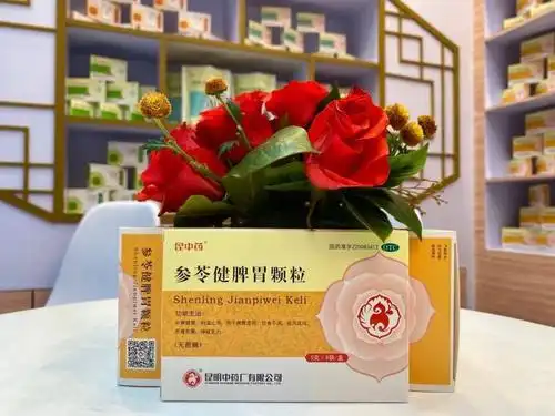 昆中药参苓健脾胃颗粒亮相2020美思会