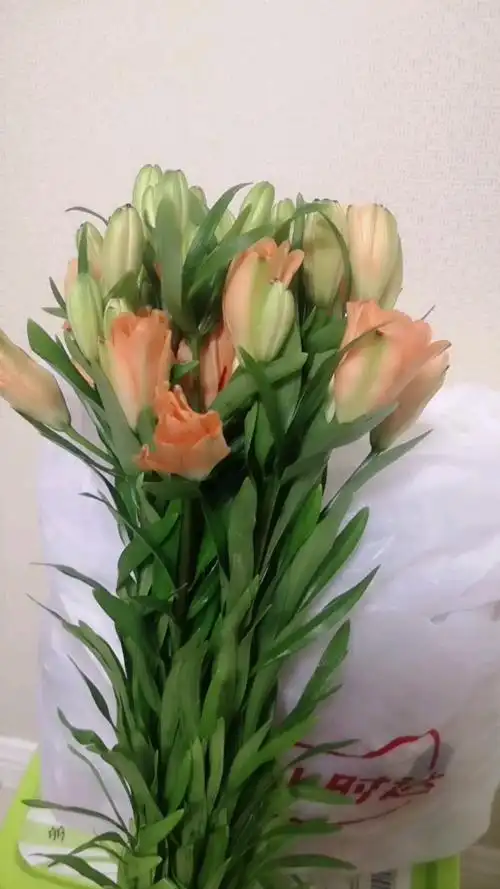 迎新年测好运#橙色重百合瓣