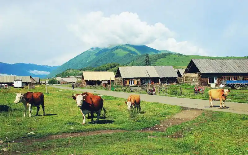 禾木村唯美田园风光桌面壁纸_风景壁纸_壁纸下载_美桌网
