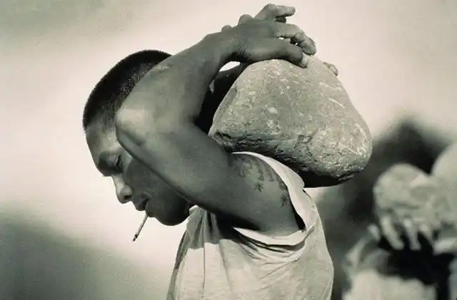 李时珍:枸杞与它是"绝配",坚持用3物泡水喝,归还阳气