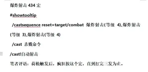 魔兽世界怀旧服生存猎人常用宏