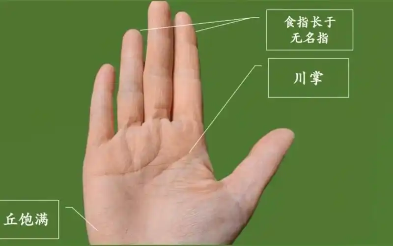 老祖宗识人术,整个手龙长虎短,食指长于无名指,有什么寓意吗?