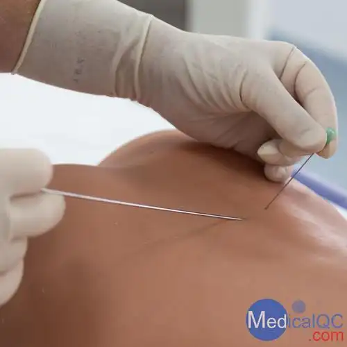 3bp65腰椎穿刺训练模体