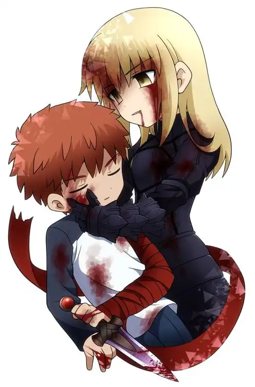 士剑总结卫宫士郎xsaberfatestaynight