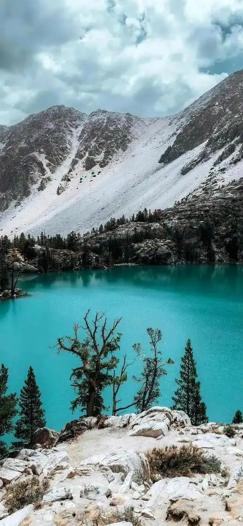 壁纸 | 高清养眼绿色壁纸,熬夜党看过来