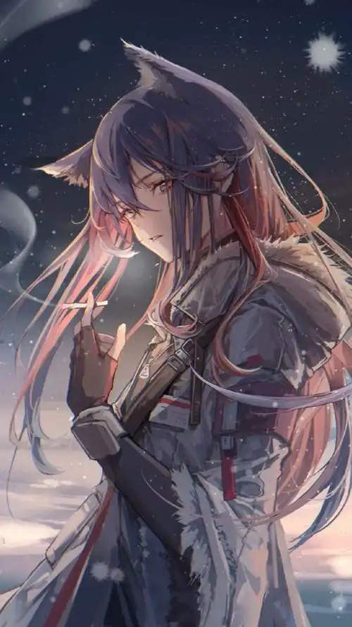 唯美而又帅气的二次元少女壁纸