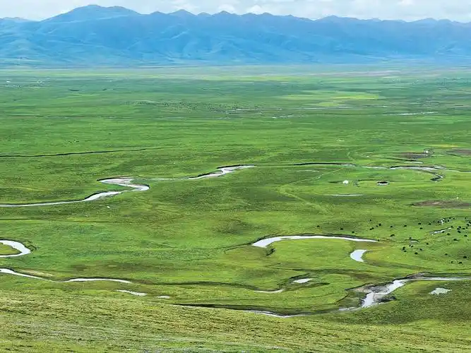 2023年草原草业热点新闻盘点_国家林业和草原局政府网