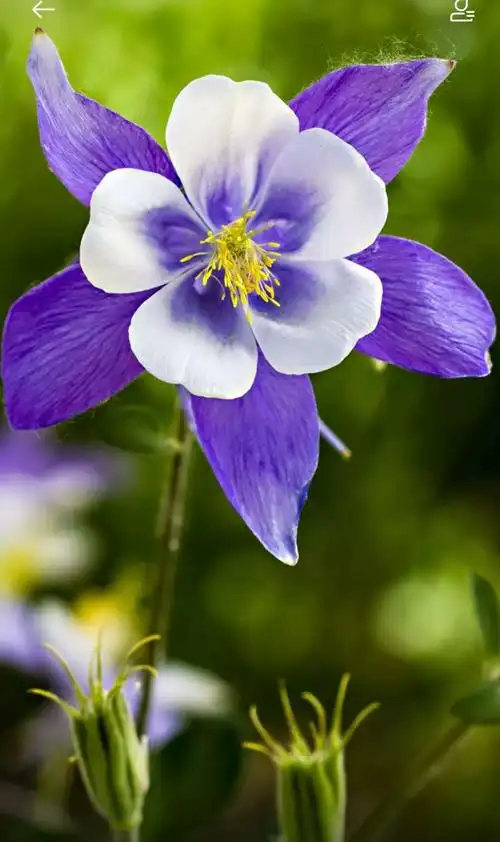 1079_1818竖版 竖屏