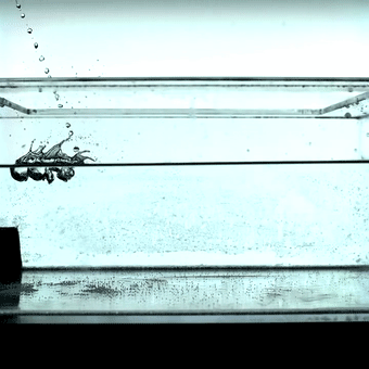 其实,当水滴落下后并不会与水面立刻聚结在一起,而是会有一定的暂留