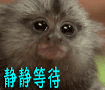 贱兮兮gif静静等待gif
