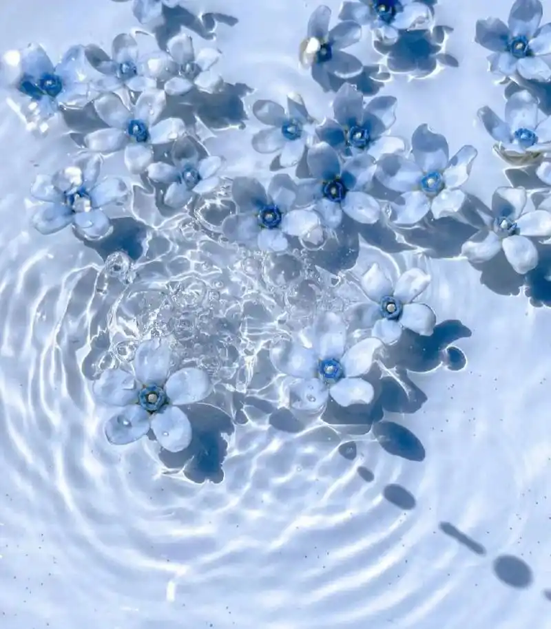 蓝色治愈系背景图 关于一些我收藏的绝美的蓝色治愈系背景图 欢迎贝贝