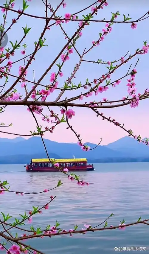 阳春三月桃花开,红的,白的花朵交织在一起,构成了一幅美丽的世外桃源