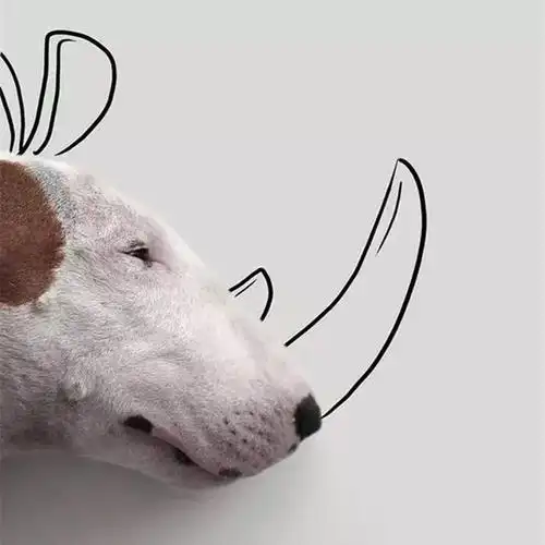 简笔牛头画法,请问牛的笔画是先写丿还是先写一(与铲屎官简笔画完美