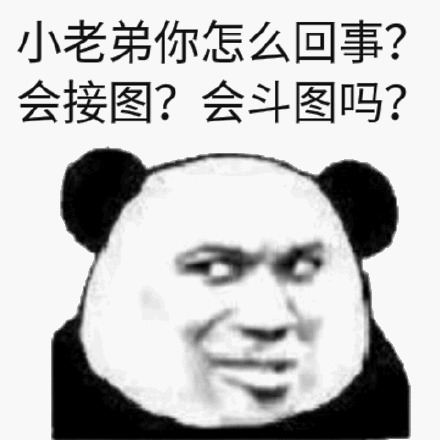 东方不亮西方亮你爹啥样你啥样熊猫头骂人表情包怼人表情表情