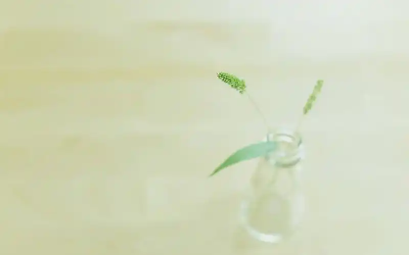 简约文艺的小清新高清桌面壁纸