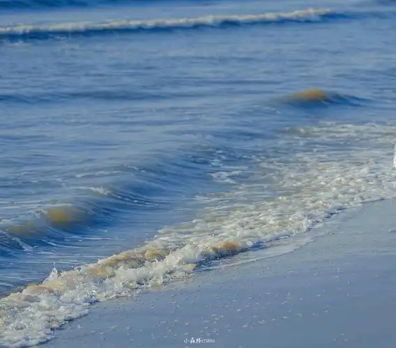 蓝色系背景丨风吹来了夏日