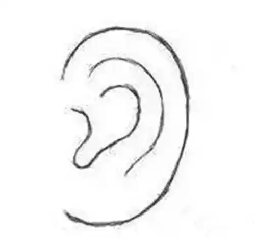 王莉平:棋子耳和双手断掌的优缺点