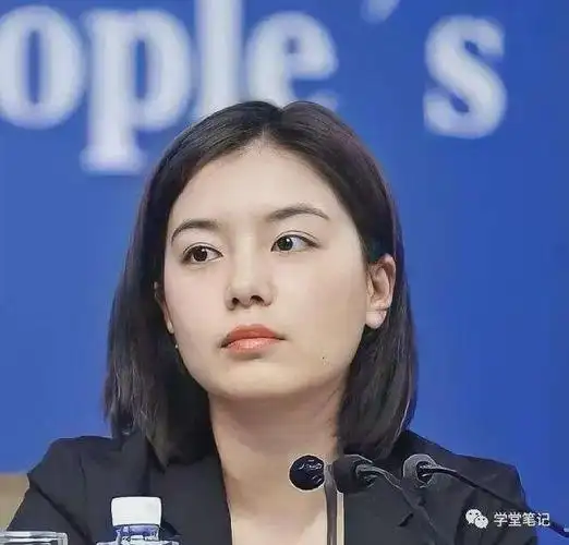 部最美翻译张京颜值担当有才又有颜中国翻译女神张京年龄个人资料简介