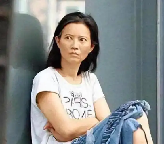 从那时起,蓝洁瑛开始依赖综合社会保障援助(简称"综援")生活.