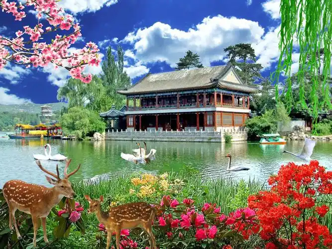 鸟语花香如梦如幻风景美图