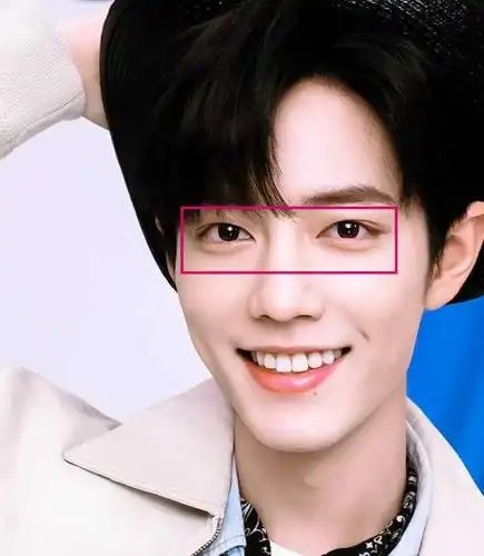 肖战招黑的点都在哪里?