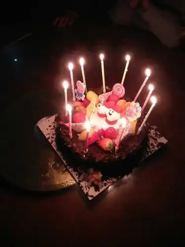 今天我过11岁生日,也是母难日.