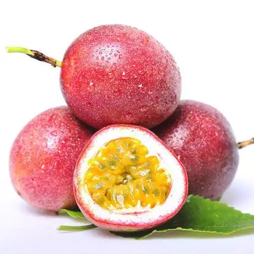 补肾的水果有哪些