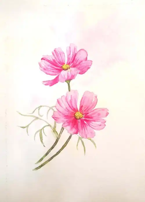 水彩画初学—花卉