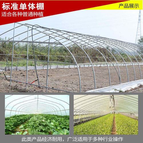 黑白膜防晒绿白膜隔热棚拱形架蔬菜棚花棚搭建q肉肉植物棚园林种