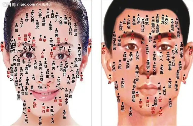 女人面相图看的时候怎么分左右?
