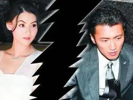 离婚12年,谢霆锋张柏芝爱恨交织的婚姻,被陈凯歌一句话道出本质