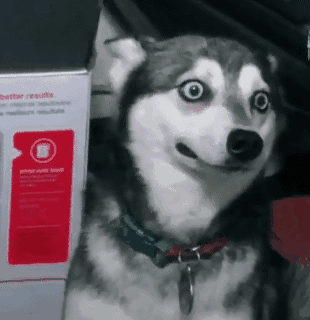 310_320gif 动态图 动图