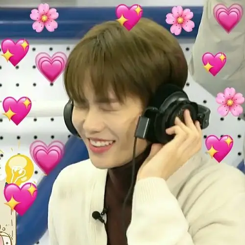 分享一些林彦俊表情包!