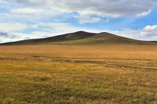 草原类型很多,诸如草甸草原,典型草原,荒漠草原及高寒草原等分类,如