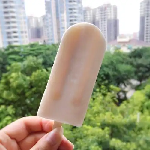 亦恒馨做的椰香雪糕 (吃完的椰子不要扔,来把椰肉变废为宝吧)