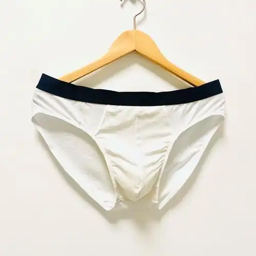 50s精品莫代尔棉男士三角内裤夏季面料舒适大码白色高雅男人