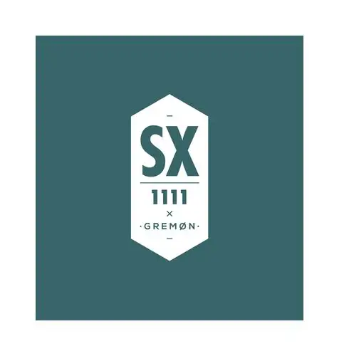 为sx的定制图案设|平面|logo|王大木的视野 - 原创作品 - 站酷 (zcool