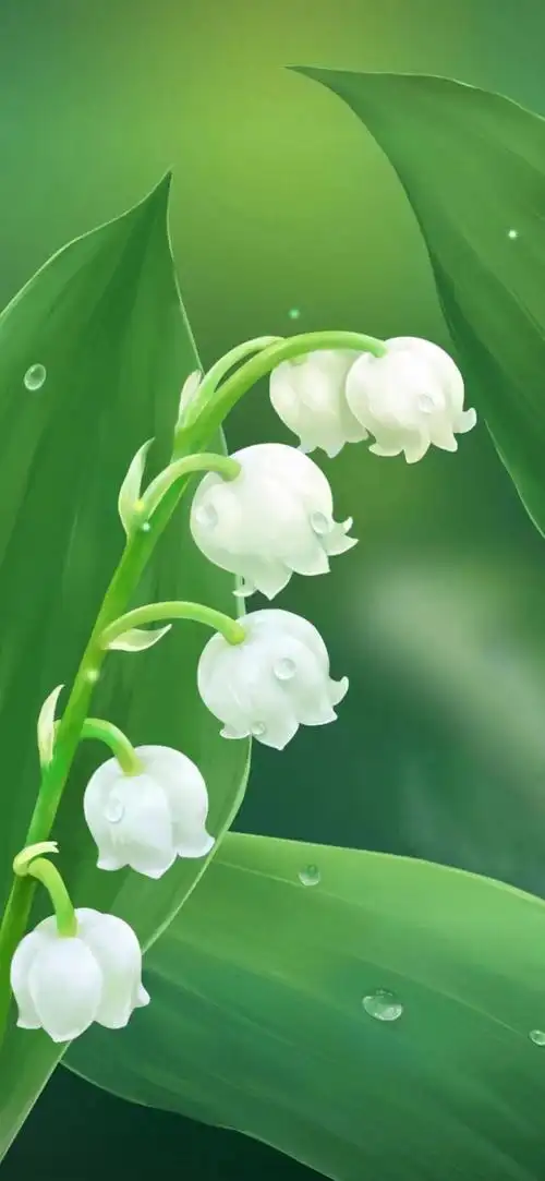 护眼屏保手机壁纸绿色(护眼壁纸手机高清绿色)