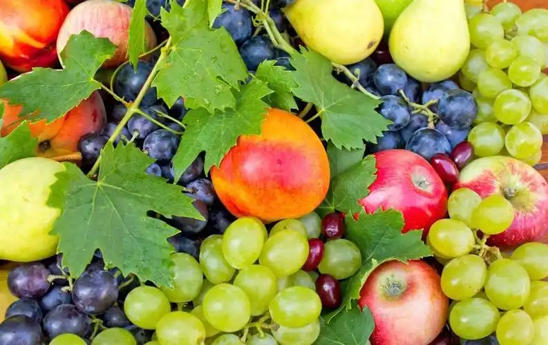 溧阳市后周幼儿园小班组开展"酸甜的水果"主题活动