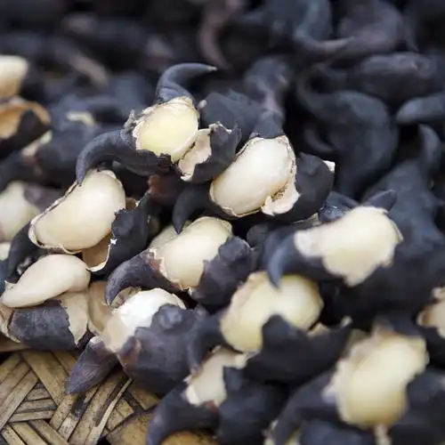 怎样从外观上判断菱角的好坏?市场上的黑的菱角和白的有什么区别?