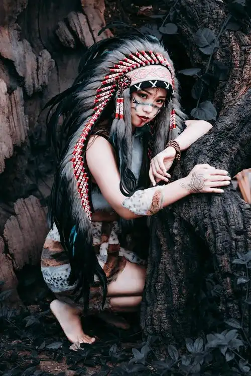 8.16 ▲ 印第安人概述▲        印第安人(美洲土著的统