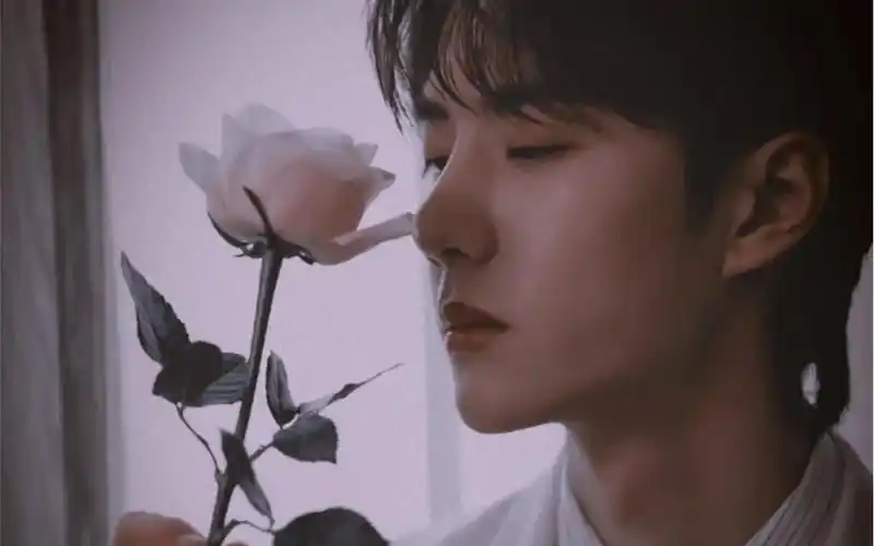 八卦塔罗王一博的正缘是什么类型