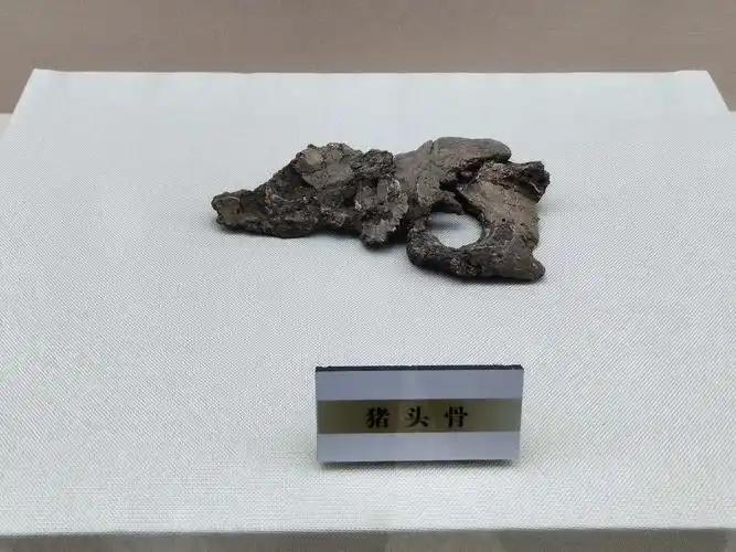 查海遗址 玉·龙故乡 文明发端