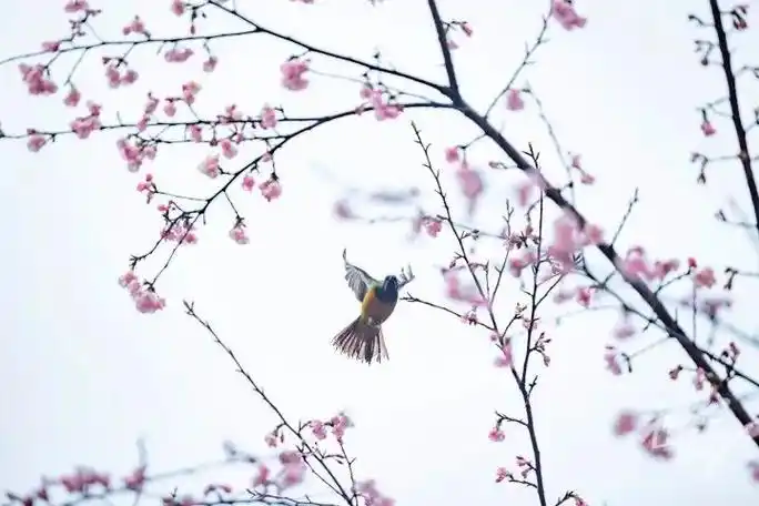 杭州网-杭州-新闻-门户-权威亲民-关注民生-国家重点新闻网站