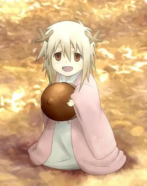 夏目友人帐中最可爱的妖怪top10有你心中的那个妖吗