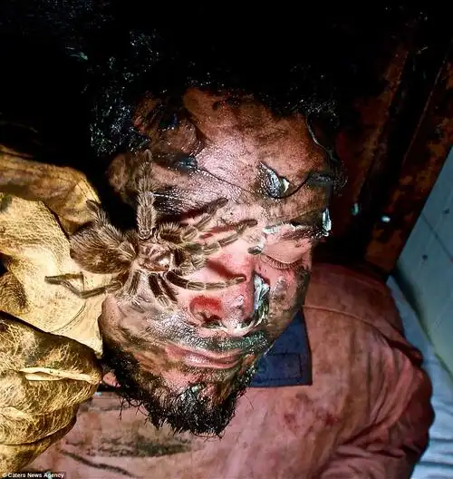 美国圣地牙哥全世界最恐怖的鬼屋mckamey manor:创立14年没有人成功