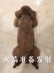 火箭准备发射_火箭_发射_准备表情